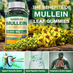 Simhould Mullein Gummies 3000mg for Respiratory Support - 120 Count - image 5
