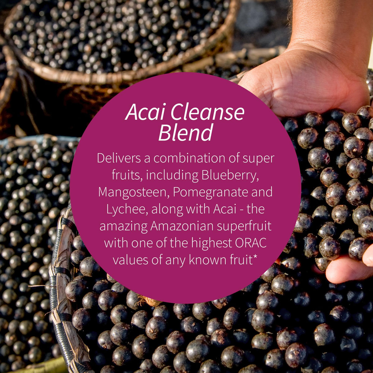 Applied Nutrition 14-Day Acai Berry Cleanse - 56 Tablets - image 3