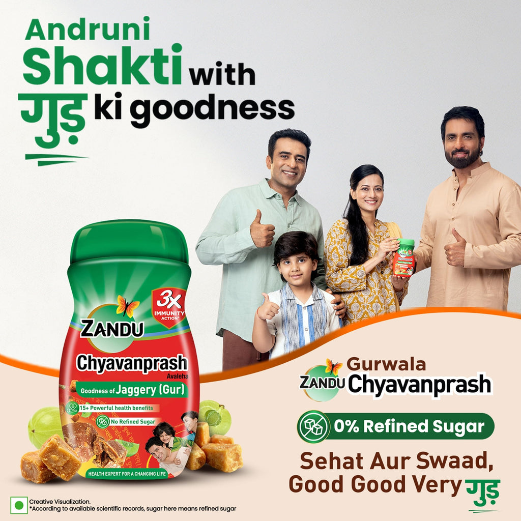 Zandu Chyawanprash Ayurvedic Immunity Booster - 900g - image 5