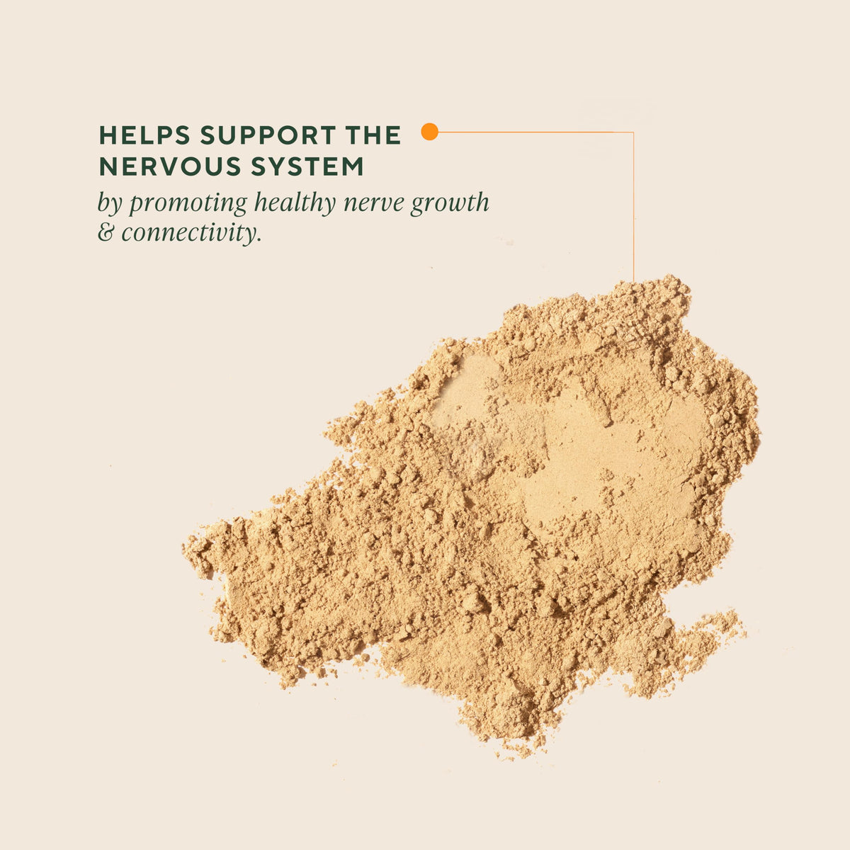 OM Mushroom Superfood Lion's Mane Powder - 50 Servings - image 2