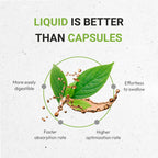 Secrets of the Tribe Lungwort Tincture Alcohol-Free Liquid Extract