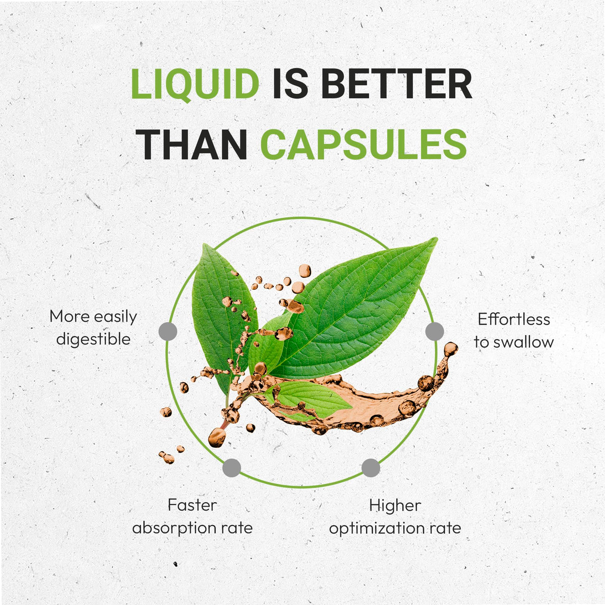 Secrets of the Tribe Lungwort Tincture Alcohol-Free Liquid Extract