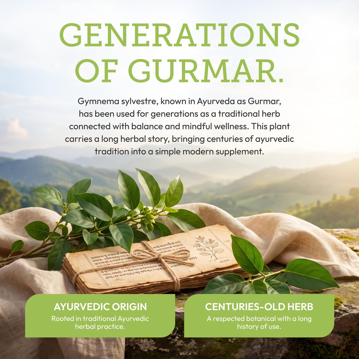 Secrets of the Tribe Gymnema Tincture Alcohol-Free Liquid Extract