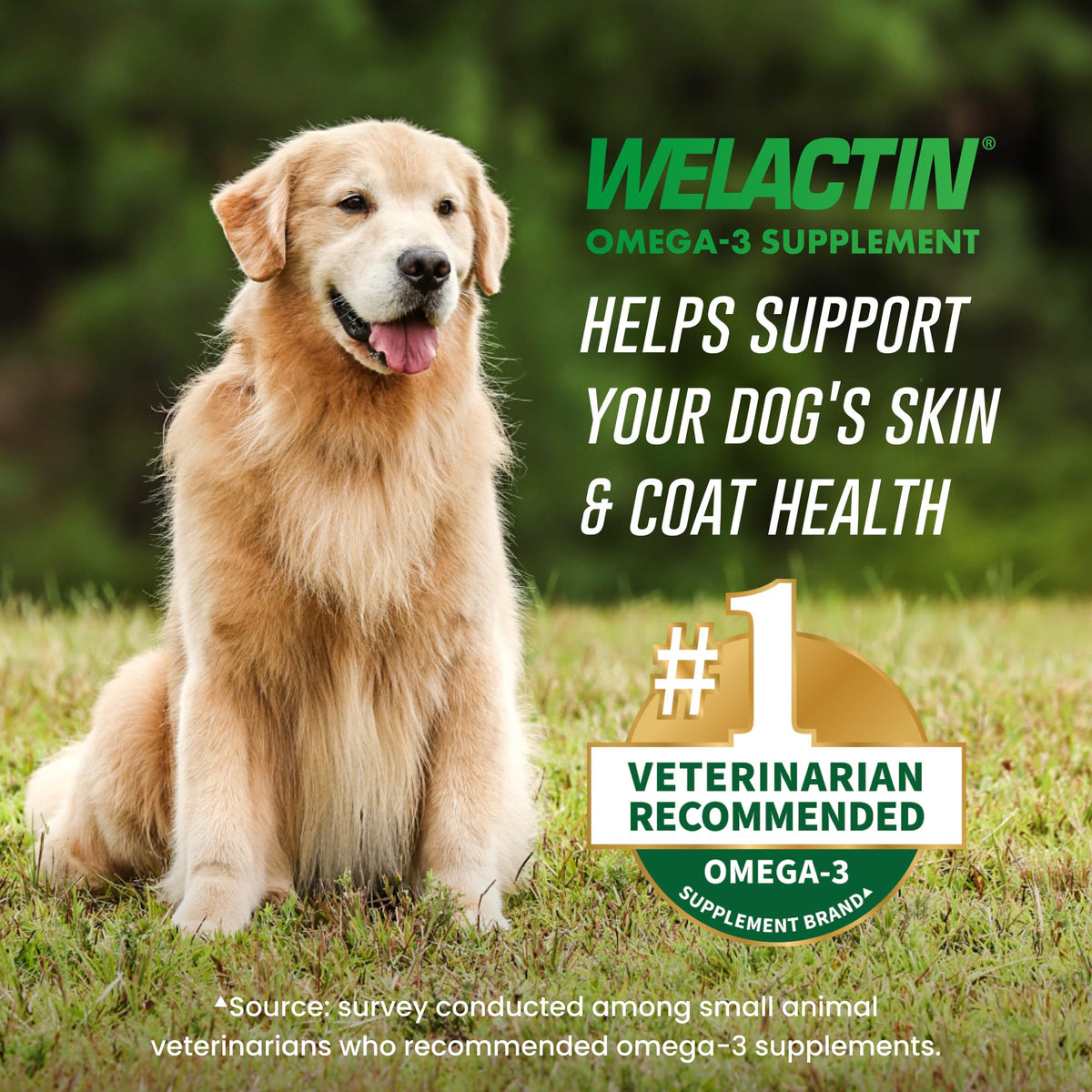 Nutramax Welactin Omega-3 Fish Oil for Dogs - 120 Softgels - image 2