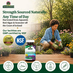 Nature's Answer Plant Based Calcium Magnesium