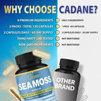 Organic Cadane Irish Sea Moss Powder Capsules - 120 Vegetarian Capsules - image 7