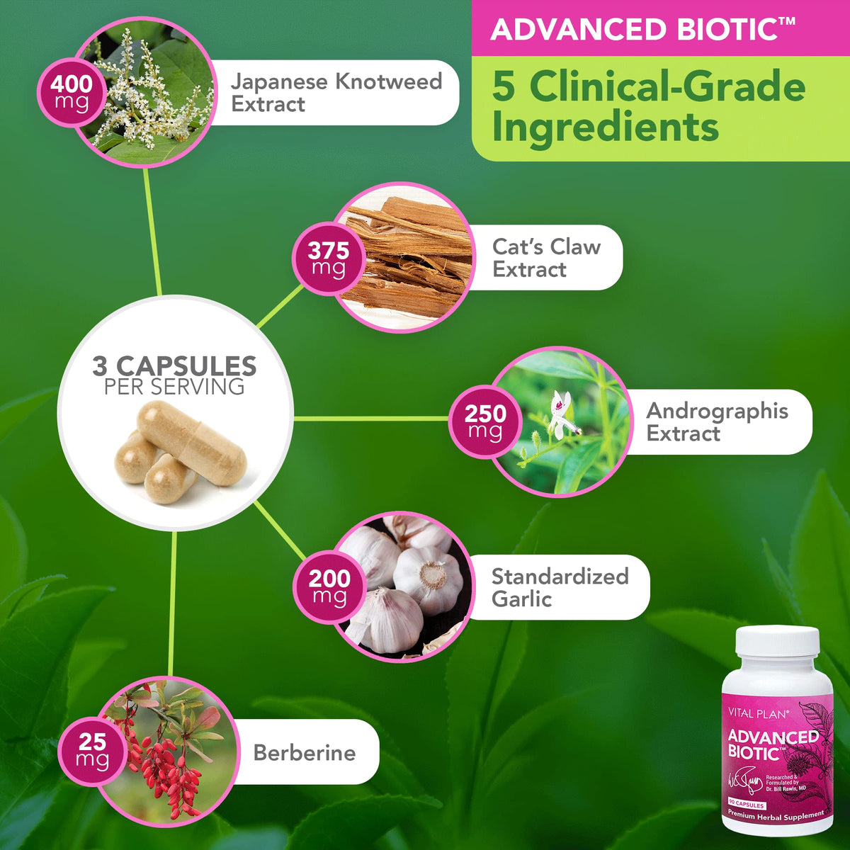 Vital Plan Immune Boost Bundle by Dr. Bill Rawls - 180 Capsules - image 3