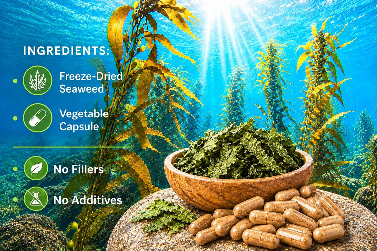 Seagate Freeze-Dried Seaweed 500 mg - 100 Capsules - image 4