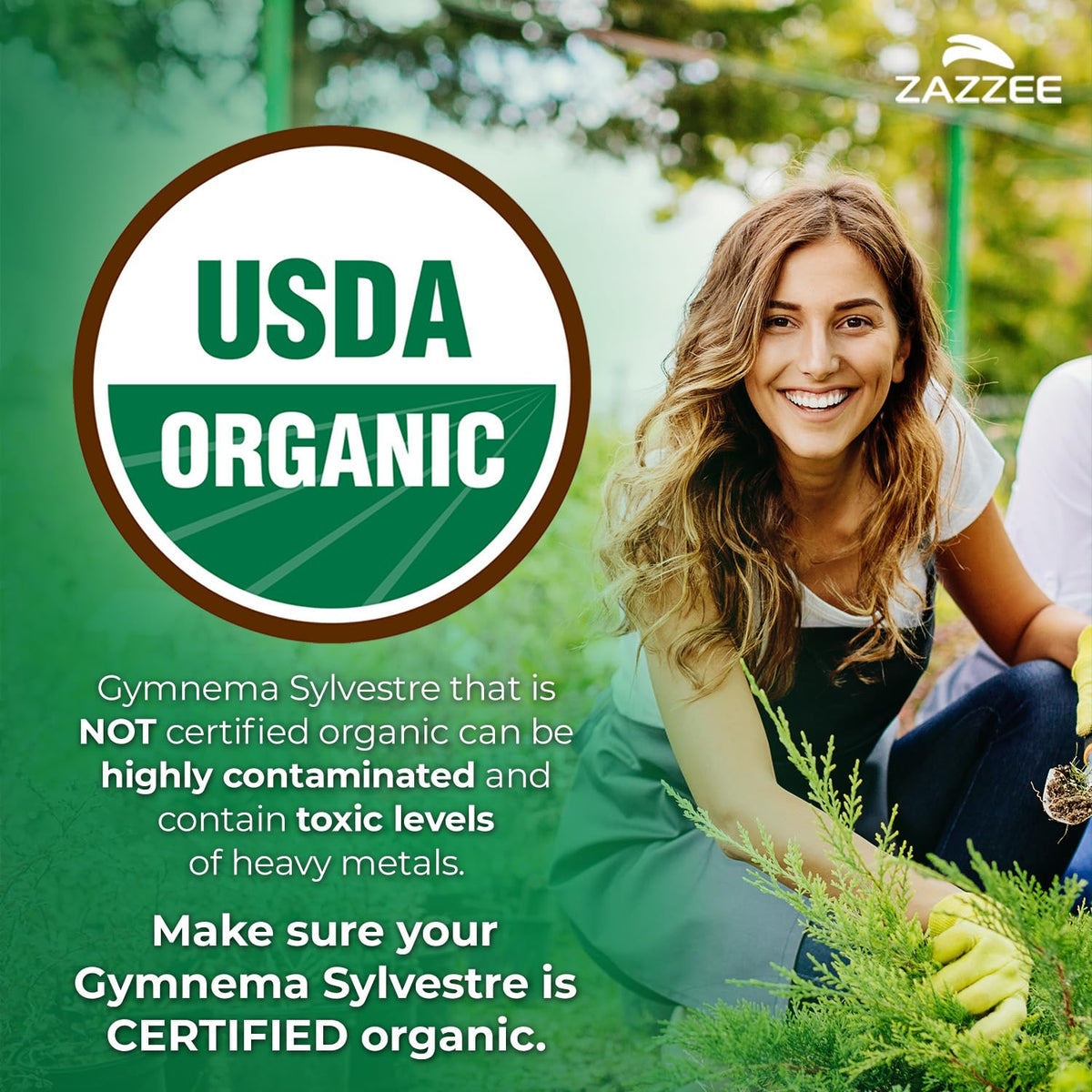 Zazzee USDA Organic Gymnema Sylvestre 25:1 Extract - 120 Capsules - image 2