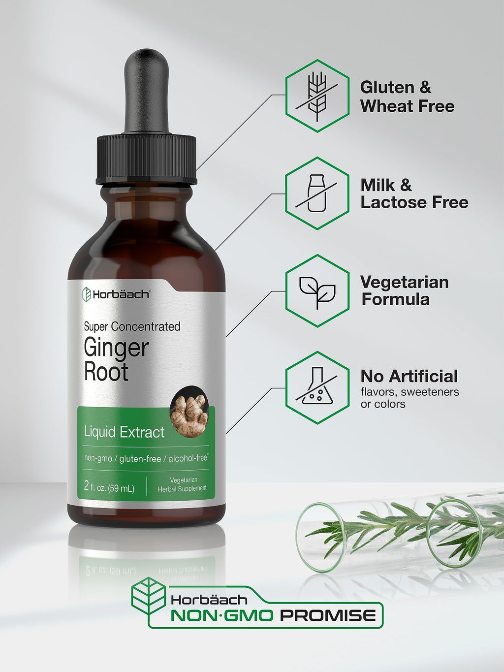 Horbäach Ginger Root Extract Liquid Alcohol Free - 2 Fl Oz - image 4