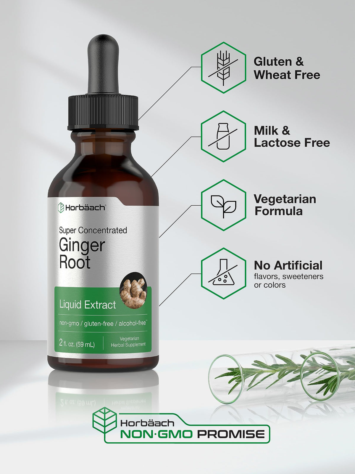 Horbäach Ginger Root Extract Liquid Alcohol Free - 2 Fl Oz - image 4