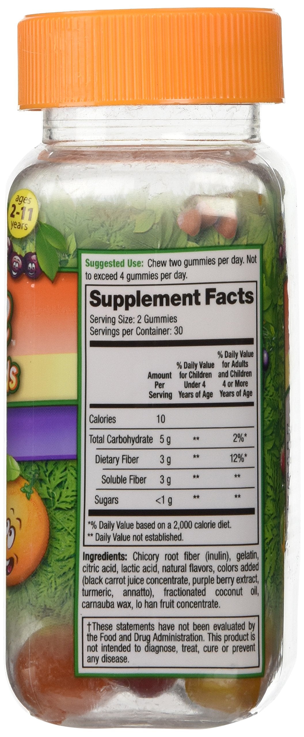 Fiber Advance Gummies For Kids Daily Fiber Supplement - 60 Count - image 2