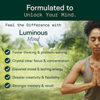 Adapt Naturals Luminous Mind Nootropic Brain Supplement with Ginkgo