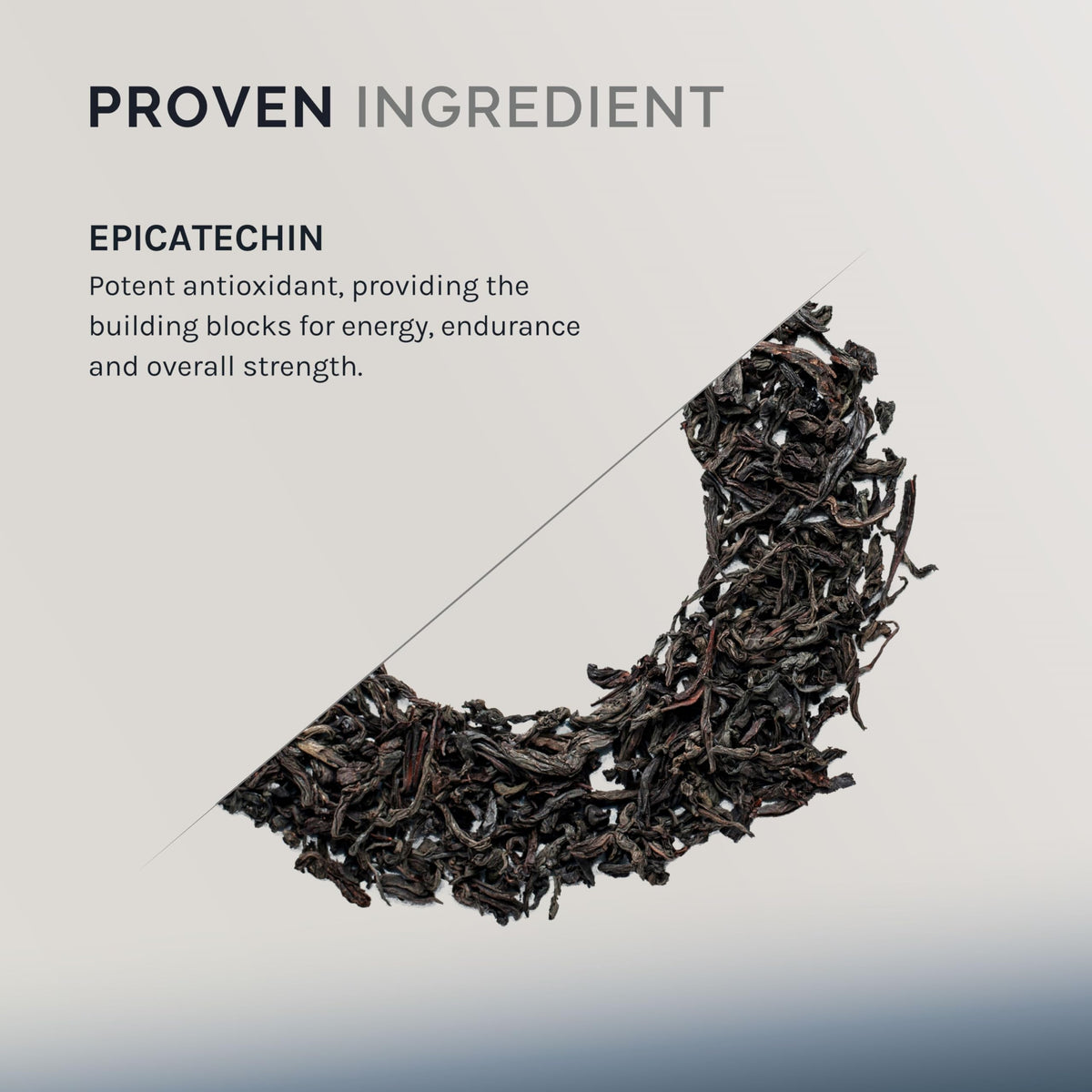 InfiniWell Epicatechin Supplement for Muscle Support - 60 Capsules - image 3