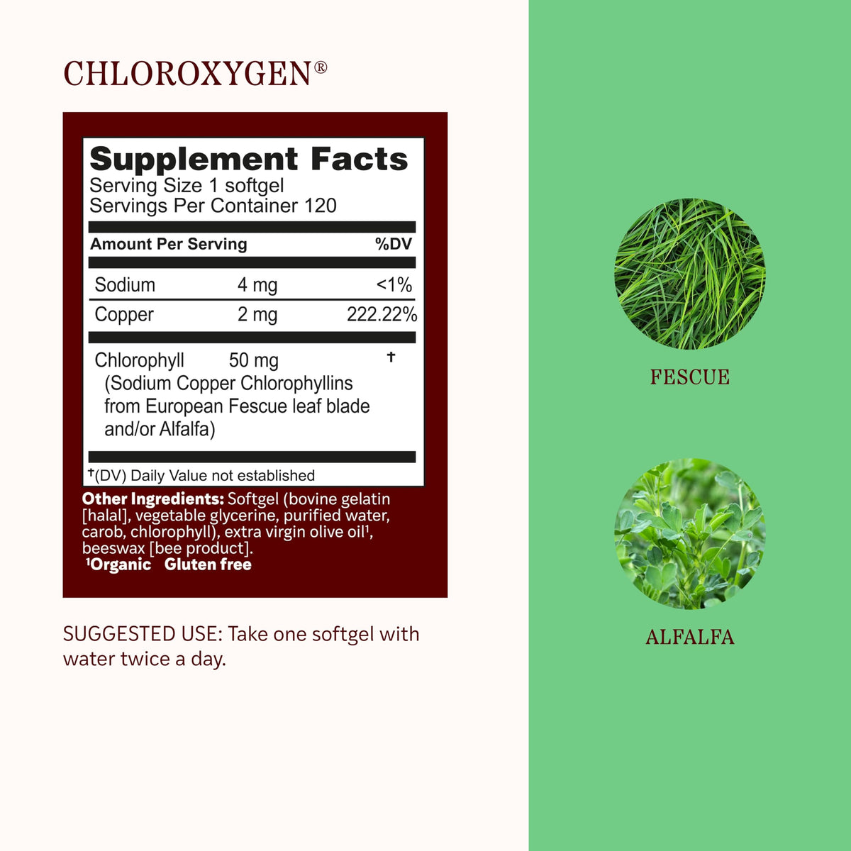 Herbs Etc. ChlorOxygen Chlorophyll Concentrate - 120 Softgels - image 4