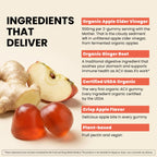 WellPath Organic Apple Cider Vinegar Gummies with The Mother - 60 Gummies - image 4