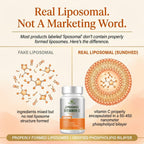 Sundhed Natural Pure Liposomal Vitamin C - 1200mg Immune System