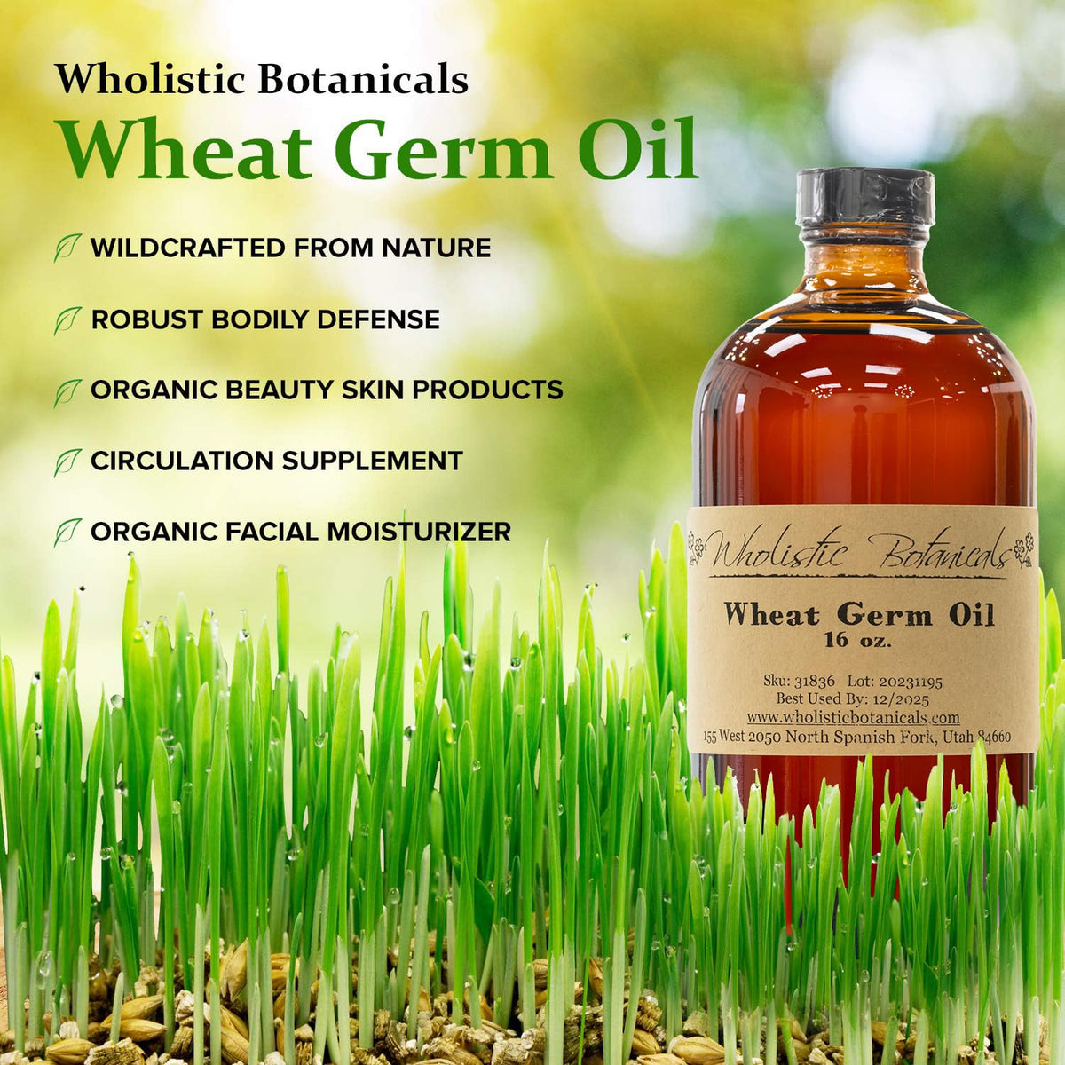 Wholistic Botanicals Wheat Germ Oil - 16 Ounce - image 2