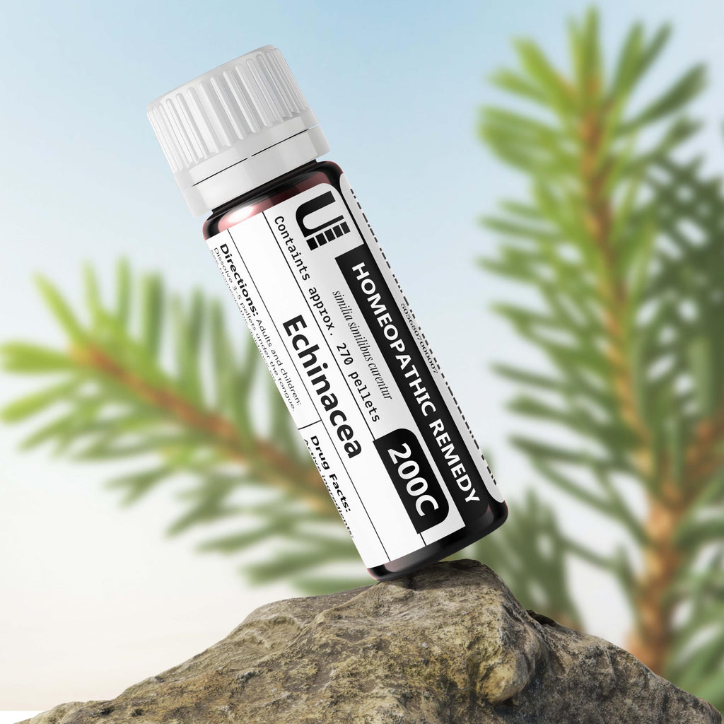 Echinacea Angustifolia 200C Homeopathic Remedy, Urenus - image 2