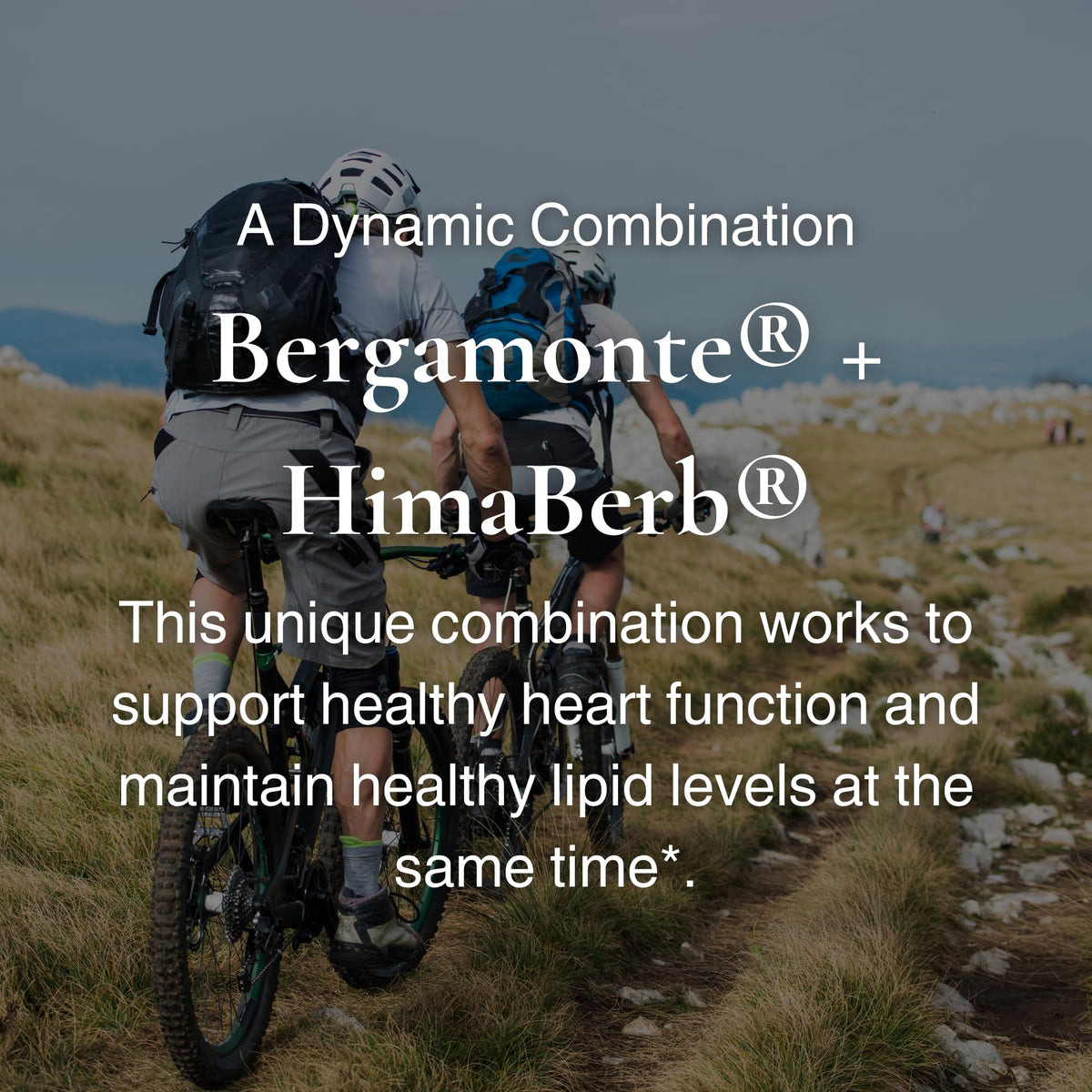 Utzy Naturals Berbercol Heart Health Blend - 60 Capsules - image 6