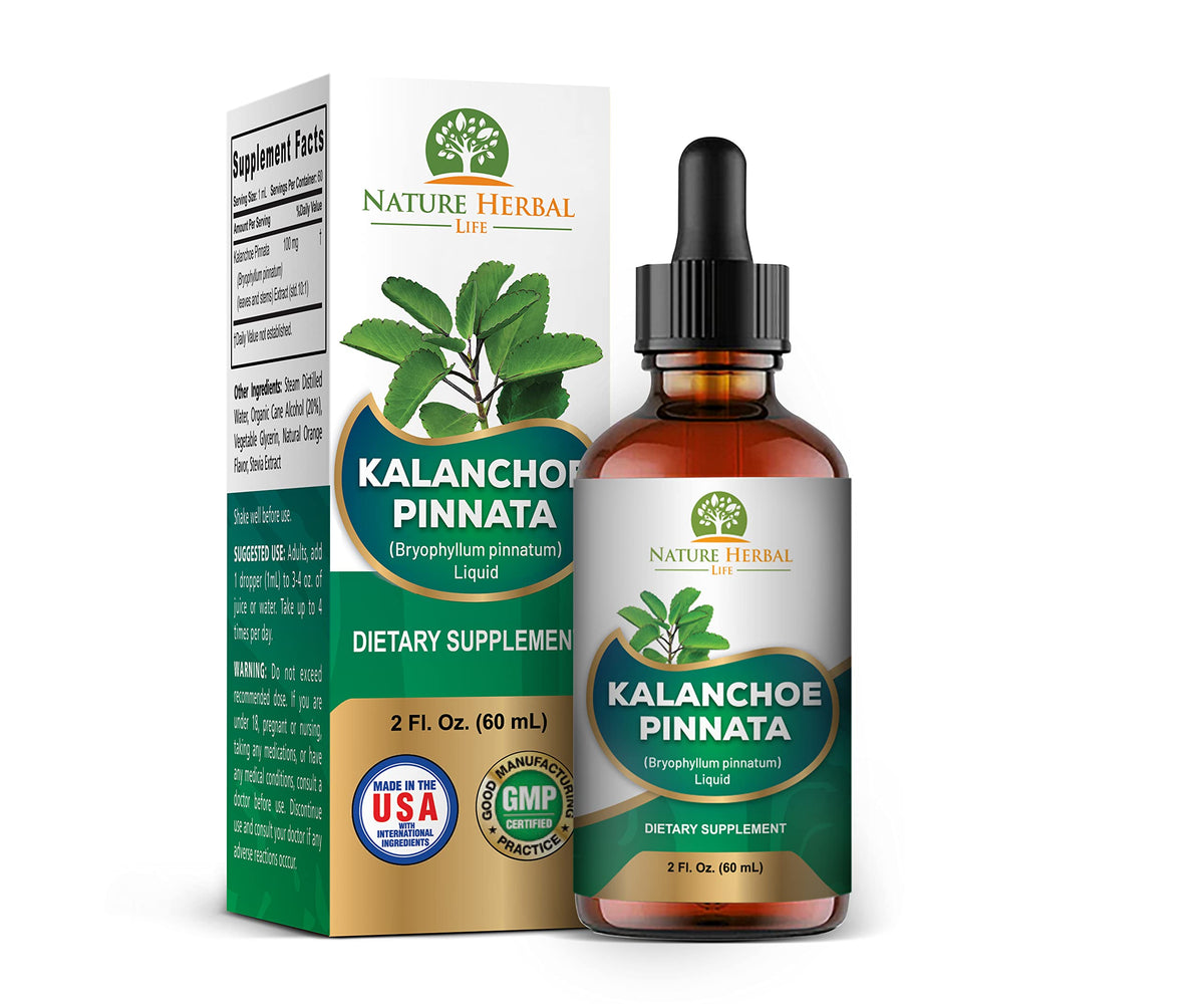 Nature Herbal Life Kalanchoe Pinnata Glycerite Liquid Extract - 2 oz