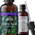 FLORIDA HERBS Lemon Balm Tincture Alcohol Free - 2 fl oz