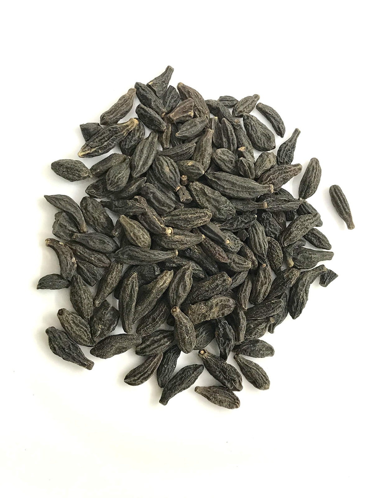 SANAA ZESTY TERMINALIA Chebula Retz