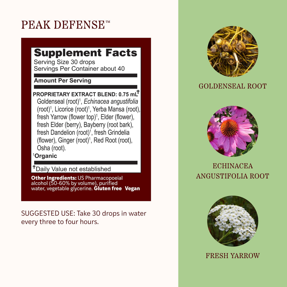 Herbs Etc. Peak Defense Liquid Extract Immune Support - 1 fl oz - image 4
