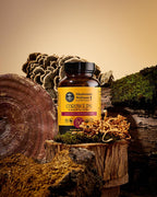Herb Pharm Mushroom Wellness Cordyceps Blend with Reishi - 90 Capsules - image 6
