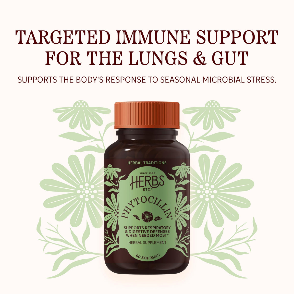 Herbs Etc. Phytocillin - Respiratory & Digestive Health Support