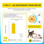 VFCARE L-Lysine for Cats 250mg Immune Support - 30 Sachets - image 5