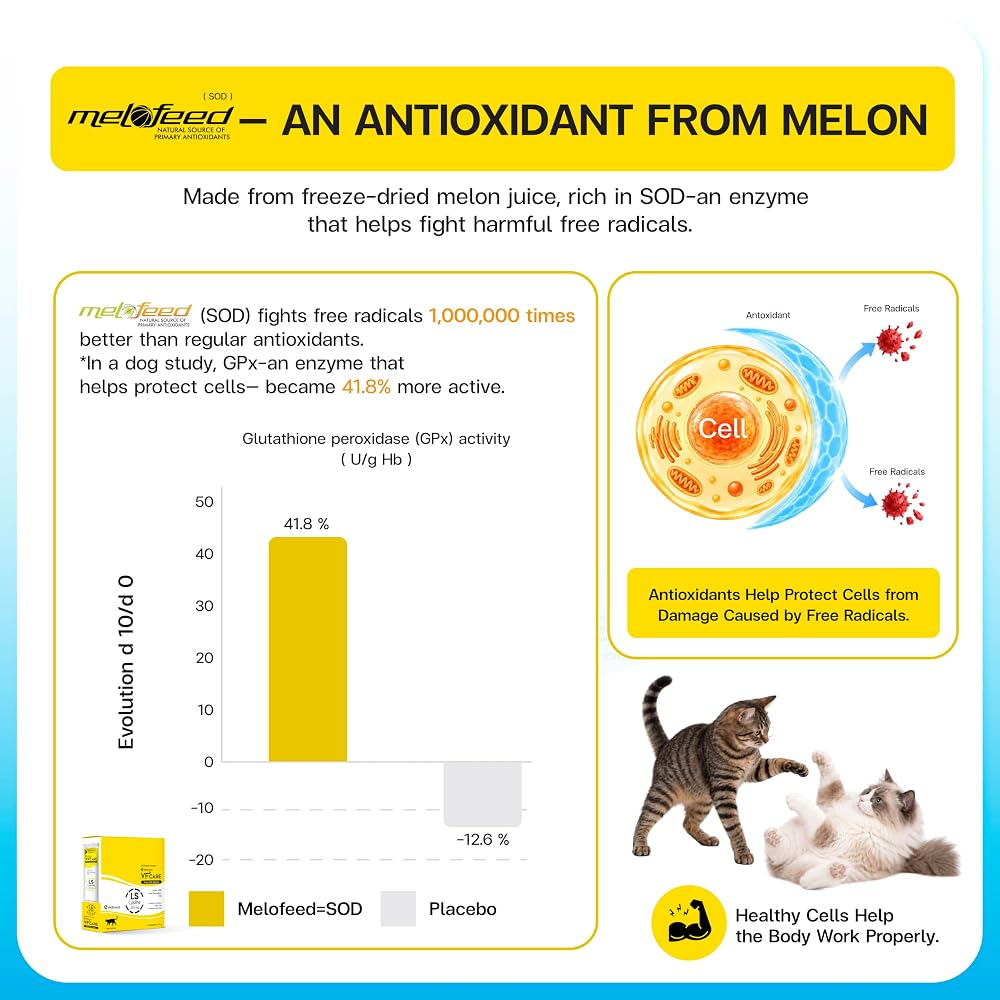 VFCARE L-Lysine for Cats 250mg Immune Support - 30 Sachets - image 5