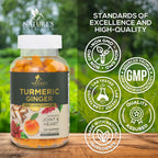 Nature's Nutrition Turmeric Gummies - 95% Curcuminoids - Best