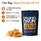 ORGANICS NATURE Raw Sea Moss Irish Wildcrafted Sun Dried - 4 Oz - image 4