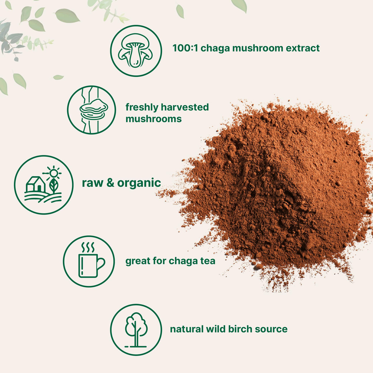 Micro Ingredients Organic Chaga Mushroom Extract Powder - 10 oz - image 3