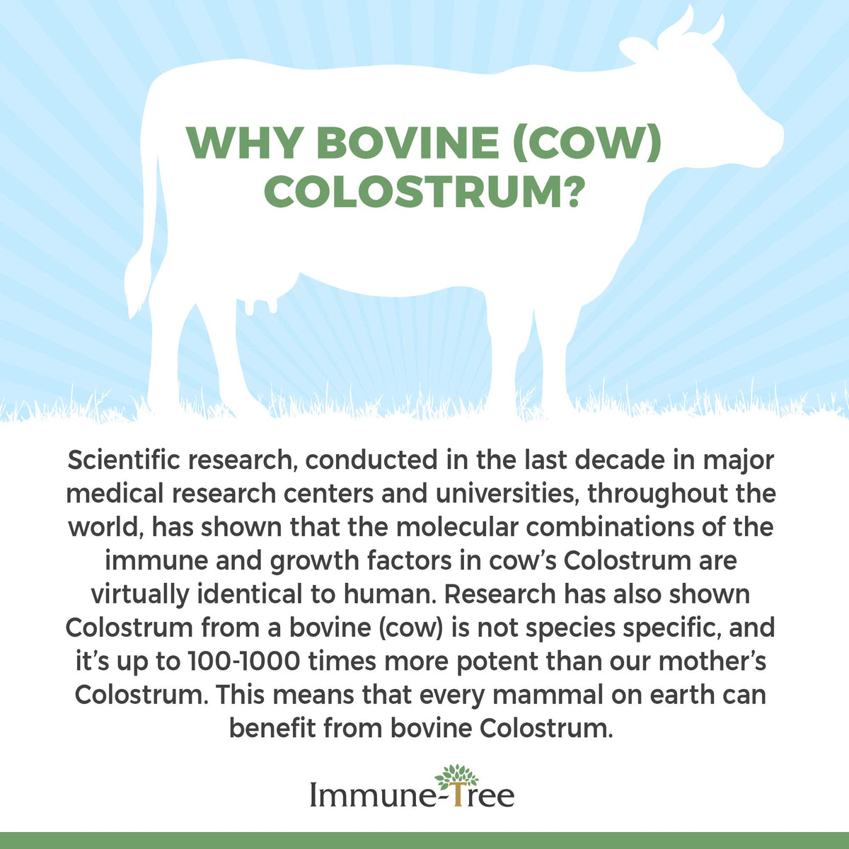 Immune-Tree Grass-Fed Bovine Colostrum Powder - 6.5 oz - image 5
