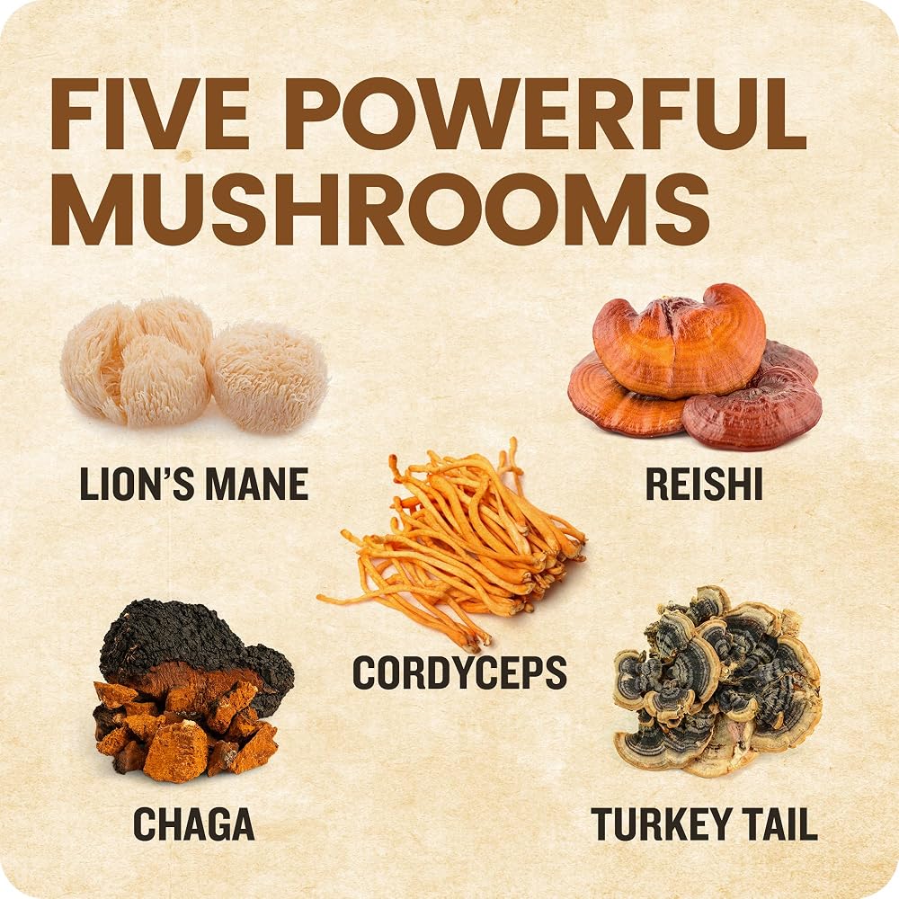Xero Picks Shroomeaz Mushroom Supplement Toothpicks - 100 Picks - image 3
