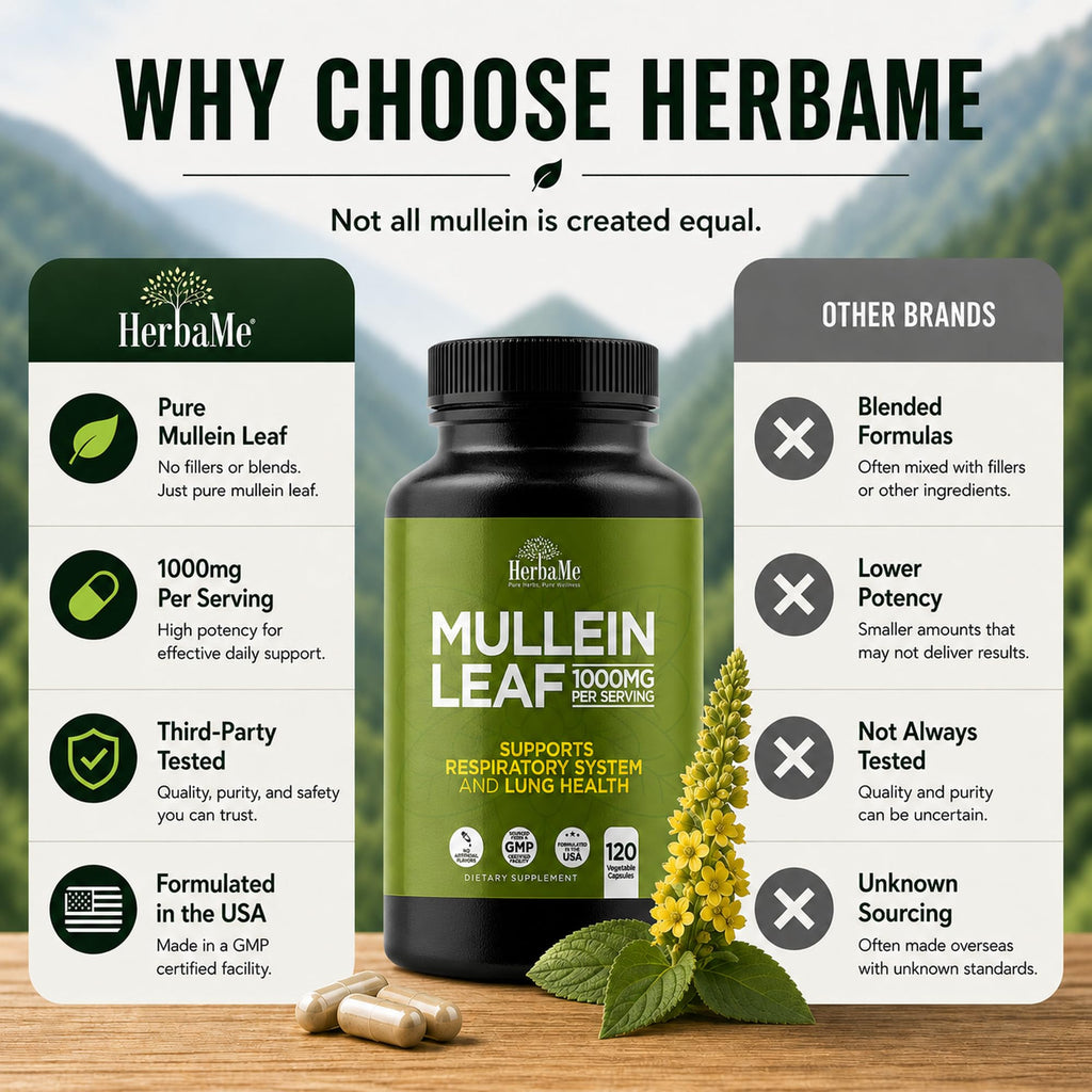 HerbaMe Mullein Leaf 1000mg Lung Support - 120 Capsules - image 5