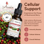 Aussie Pure Blushwood Berry Extract EBC-46 Tincture - 120mL - image 2