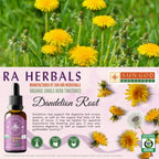 Sun God Medicinals Ra Herbals Organic Dandelion Root Liquid Extract - 1 fl oz - image 3