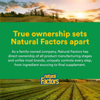 Natural Factors Whole Earth & Sea Organic Protein & Greens Vanilla Chai - image 7