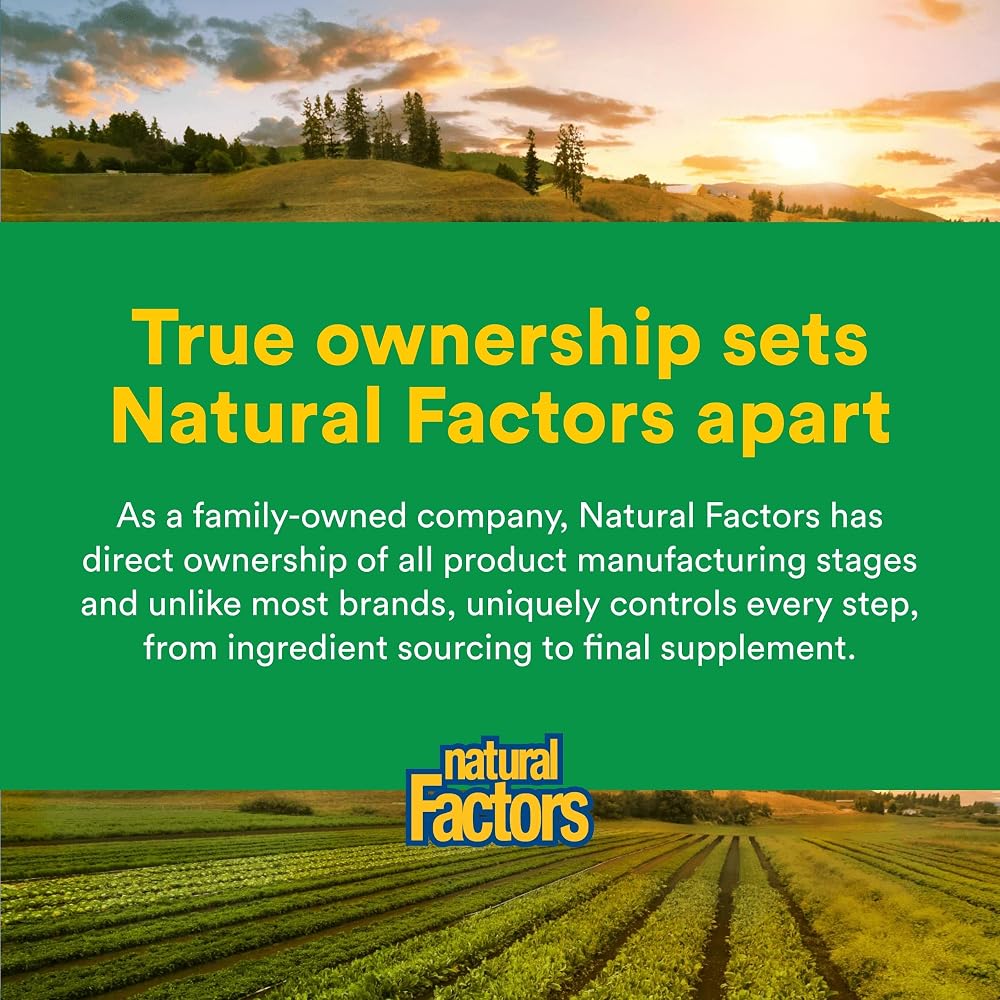 Natural Factors Whole Earth & Sea Organic Protein & Greens Vanilla Chai - image 7
