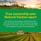 Natural Factors Whole Earth & Sea Organic Protein & Greens Vanilla Chai - image 7