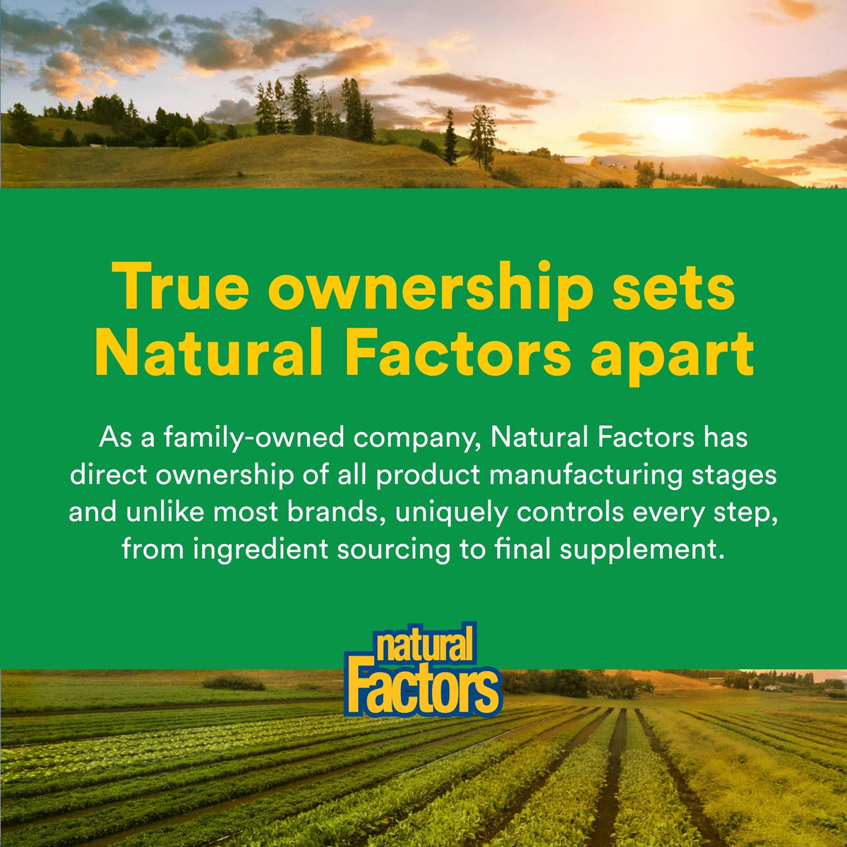 Natural Factors Whole Earth & Sea Organic Protein & Greens Vanilla Chai - image 7
