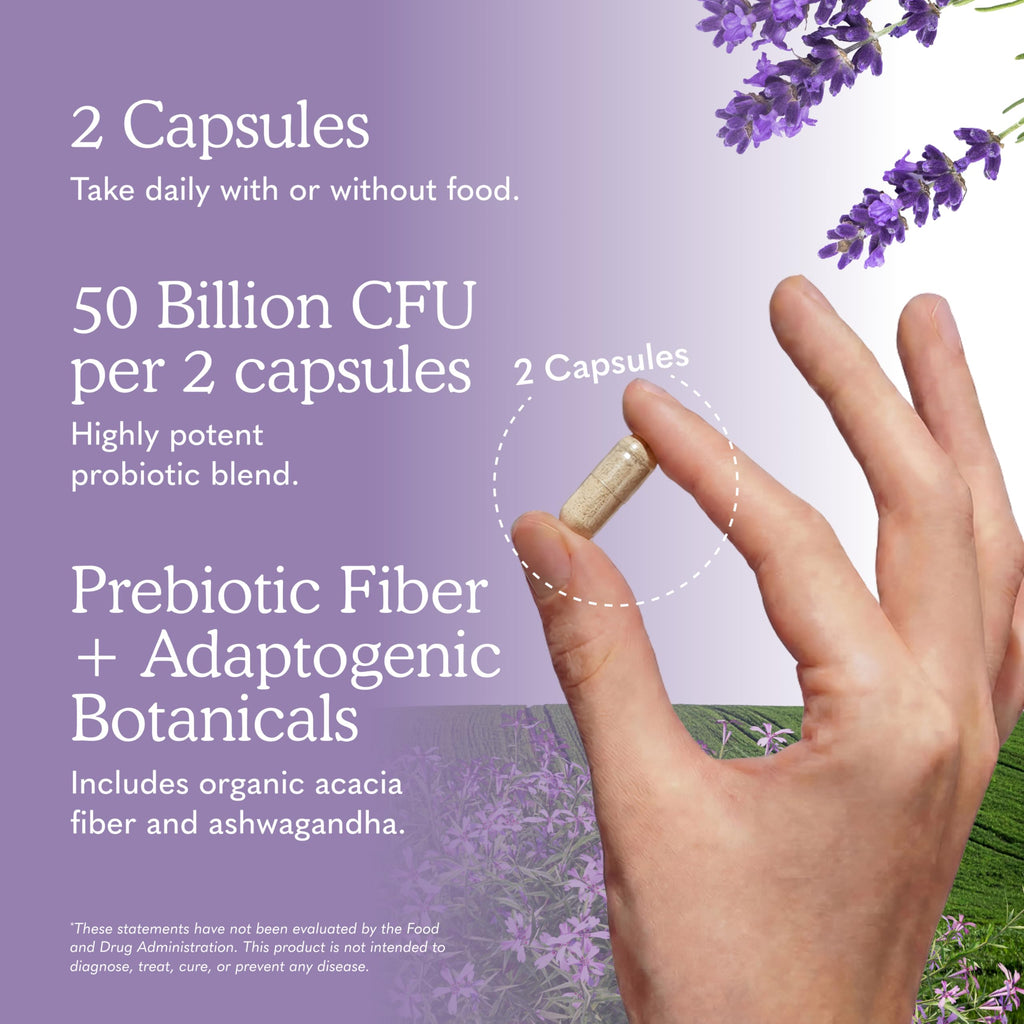 Garden of Life Dr. Formulated Mood+ Probiotics