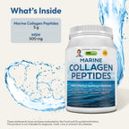 ANDREW LESSMAN Marine Collagen Peptides Powder and MSM Servings