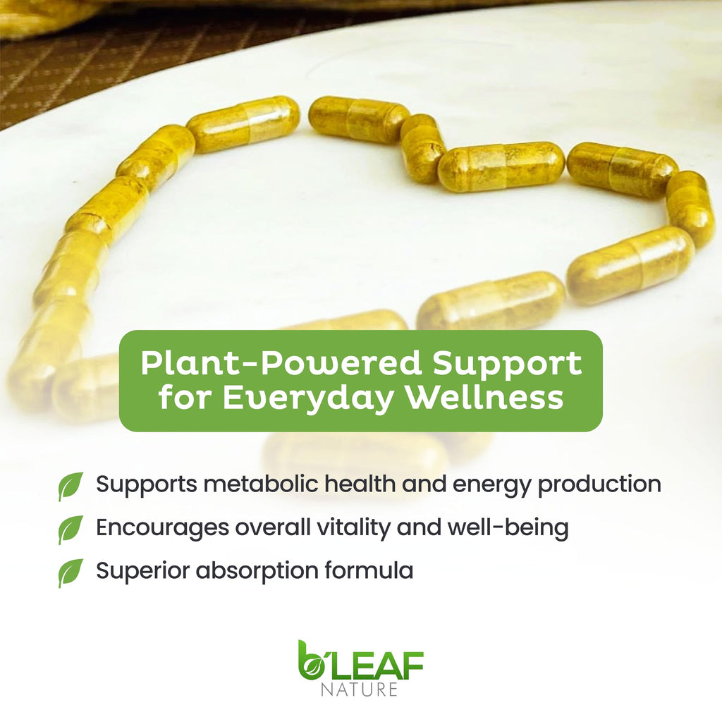 B'Leaf Nature Berberine Phytosome 1100mg - 120 Capsules - image 7