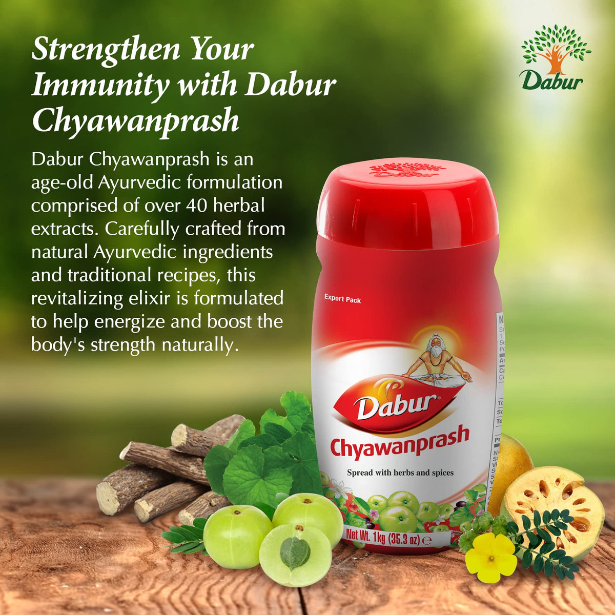 Dabur Chyawanprash Ayurvedic Herbal Supplement - 1kg - image 2