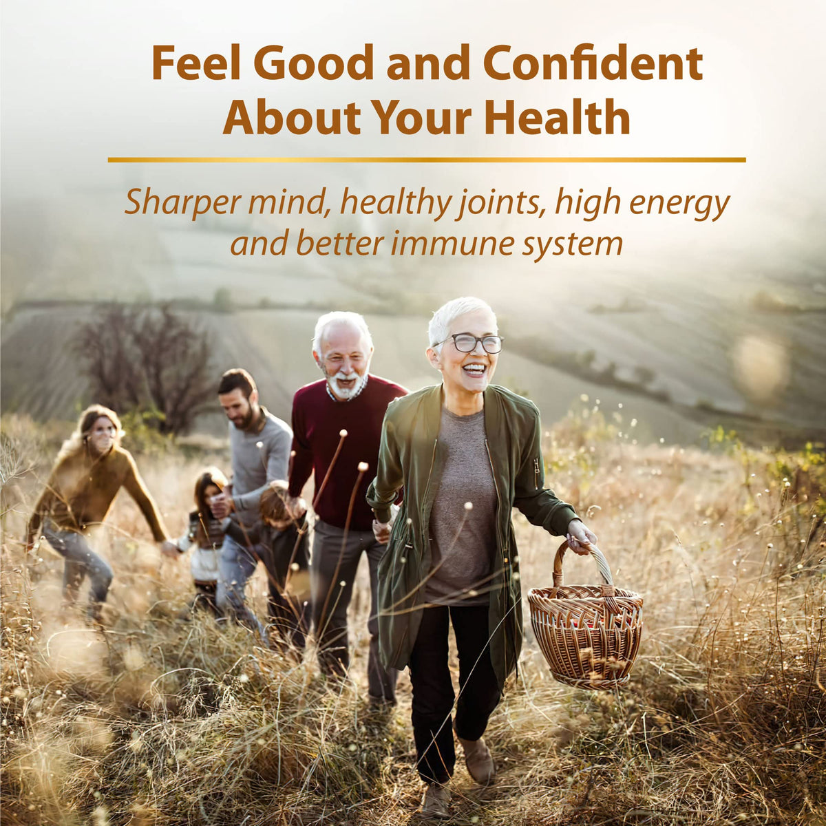 Zenith Labs Omega 379 with Krill Oil - 60 Softgels - image 4