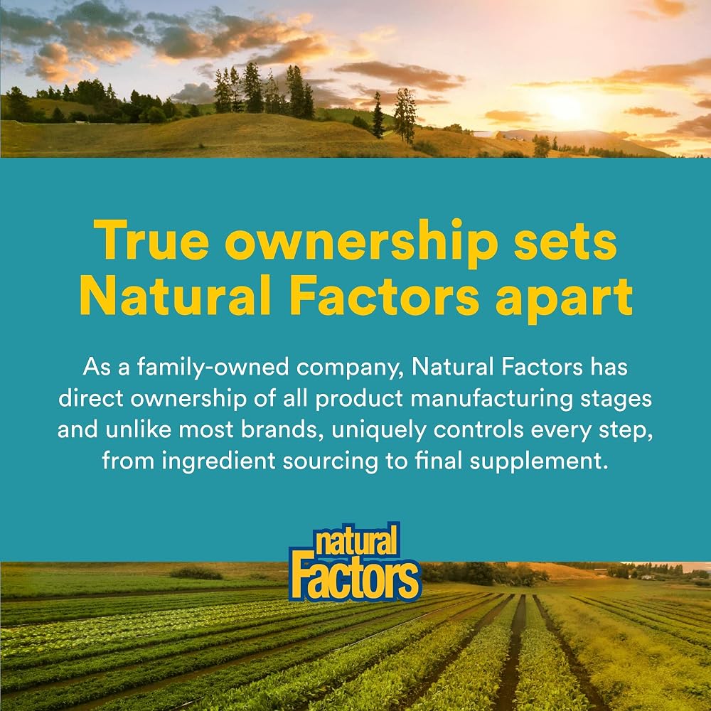 Natural Factors Alpha-Lipoic Acid with B1 & B2 600 mg - 60 Vegetarian Capsules - image 7